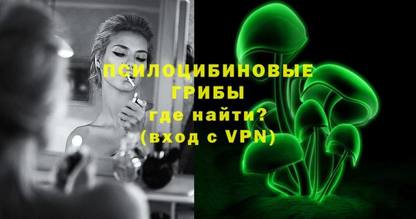 прущий лед Алзамай