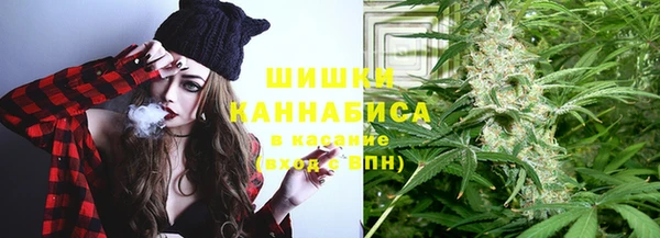 PSILOCYBIN Переславль-Залесский