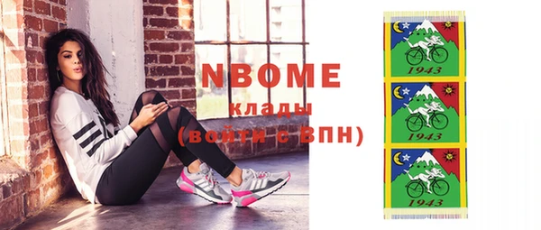 индика Пестово
