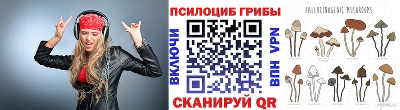 Псилоцибиновые грибы мицелий Данков